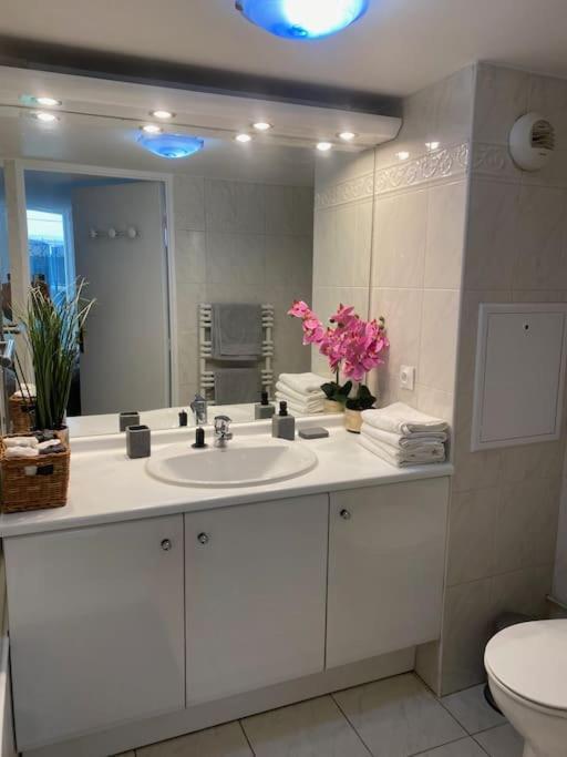 Magnifique Duplex 45 M2 Aux Portes De Paris Metro Barbara A 30Mn Expo Porte De Versailles Montrouge Ngoại thất bức ảnh