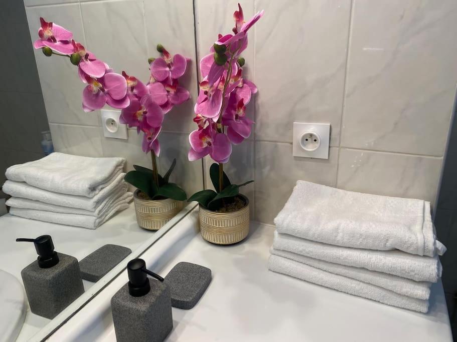 Magnifique Duplex 45 M2 Aux Portes De Paris Metro Barbara A 30Mn Expo Porte De Versailles Montrouge Ngoại thất bức ảnh